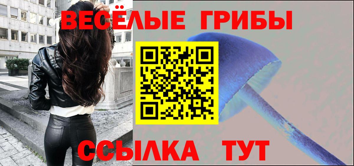 Псилоцибиновые грибы GOLDEN TEACHER Пятигорск