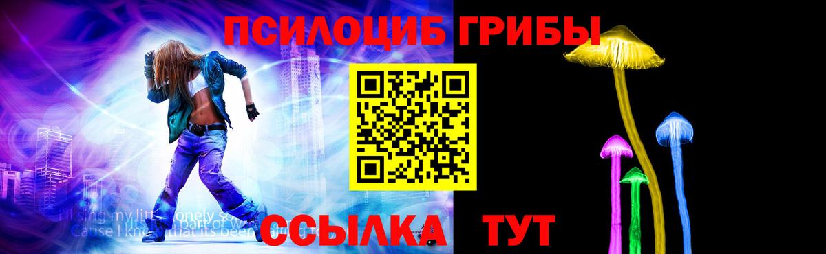 Пятигорск  Псилоцибиновые грибы мухоморы  Вход с VPN 